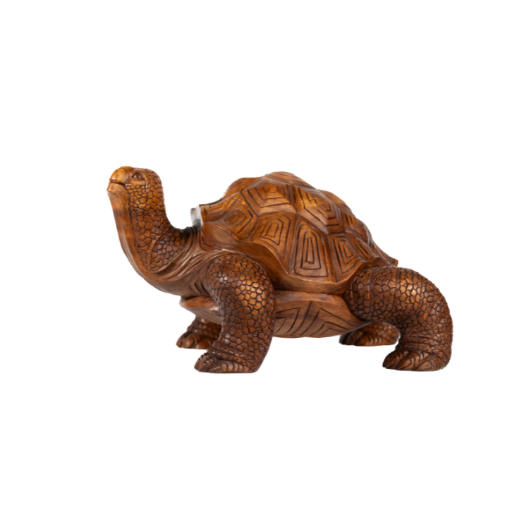 Tortoise