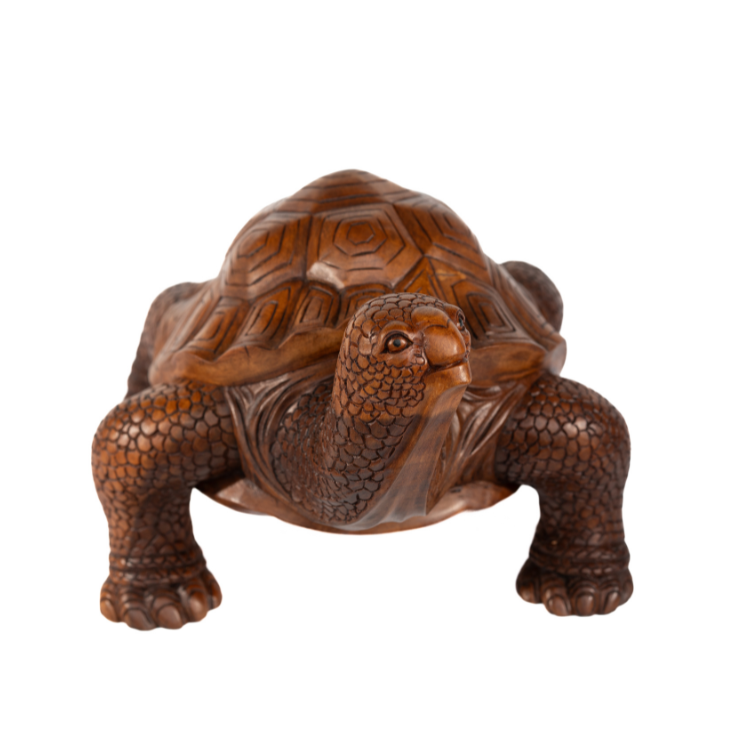 Tortoise