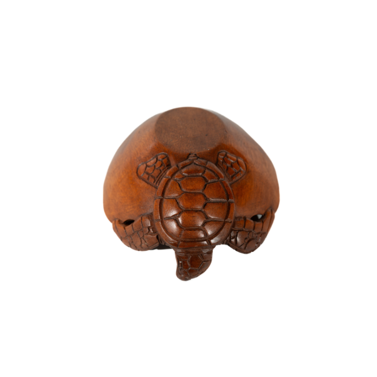 Save The Turtle Bowl