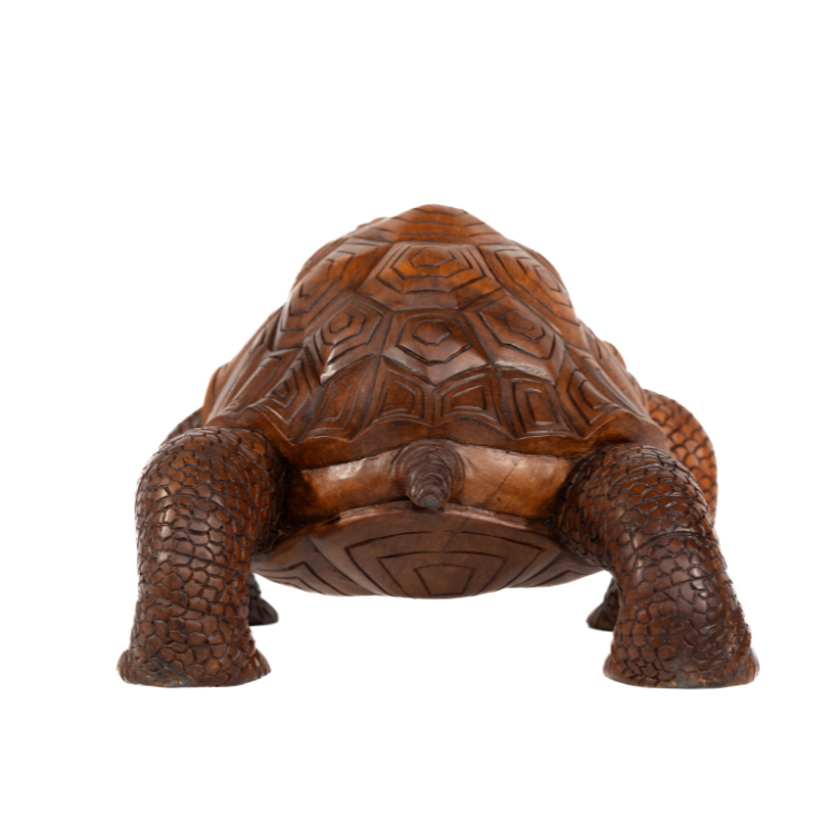 Tortoise