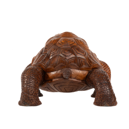 Tortoise