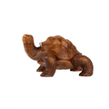 Tortoise