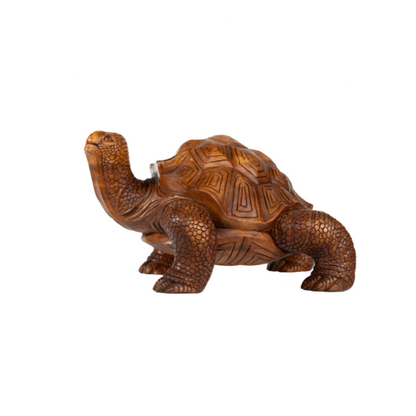 Tortoise