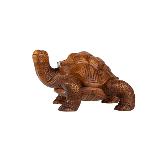 Tortoise