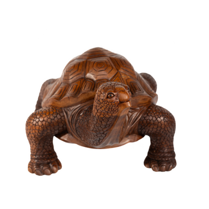 Tortoise