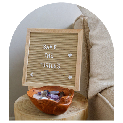 Save The Turtle Bowl