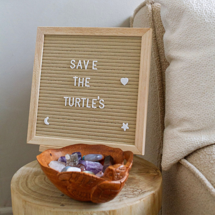 Save The Turtle Bowl