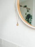 Lakey Peak Cowrie Shell Gold Necklace