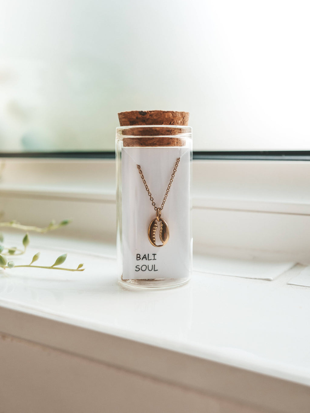 Lakey Peak Cowrie Shell Gold Necklace